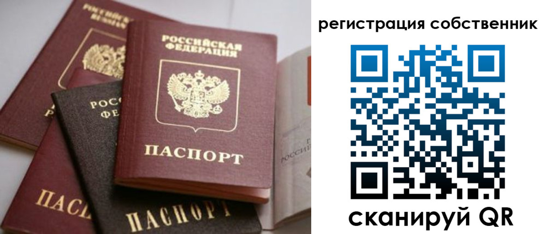 временная регистрация поиск в Россоши
